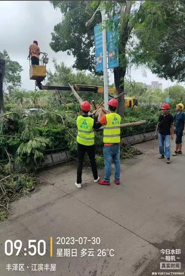 1729043323108771.jpg 1729043323108771.jpg