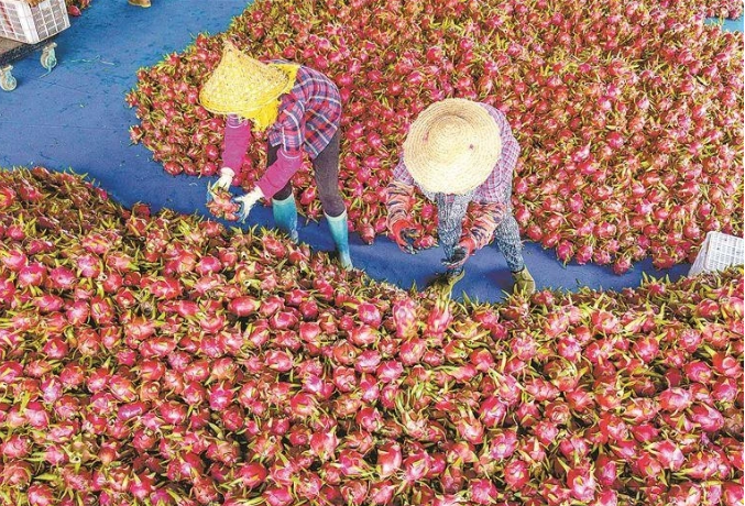 1730426294776723.png image.png